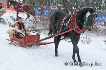 Pokoje Gościnne 